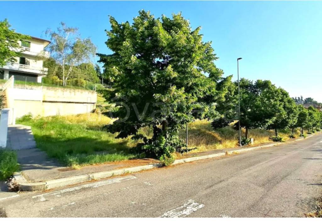 immagine annuncio 10 di 11