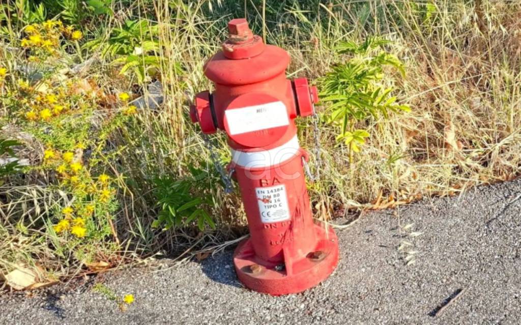 immagine annuncio 10 di 14