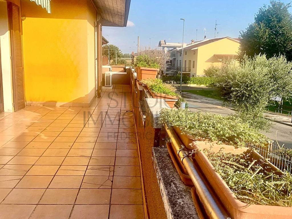 immagine annuncio 5 di 15