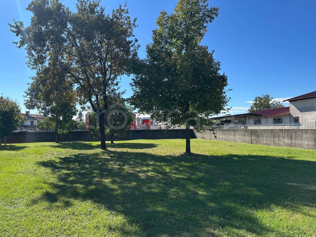 immagine annuncio 2 di 12