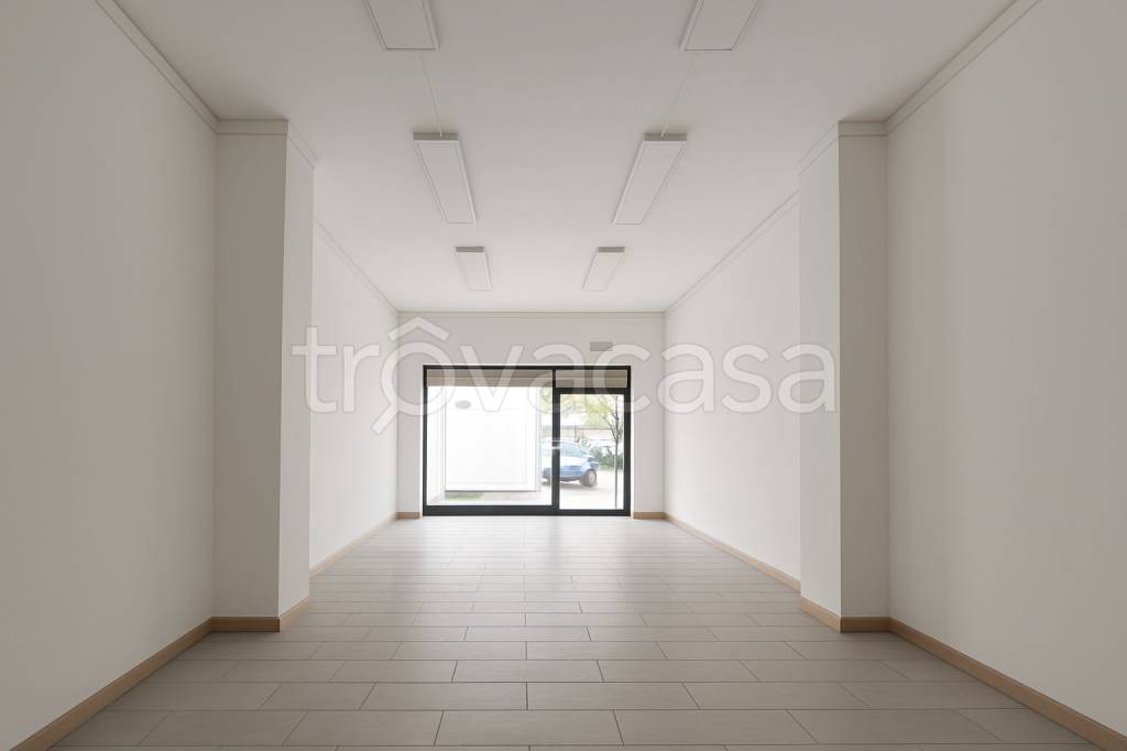 immagine annuncio 1 di 8