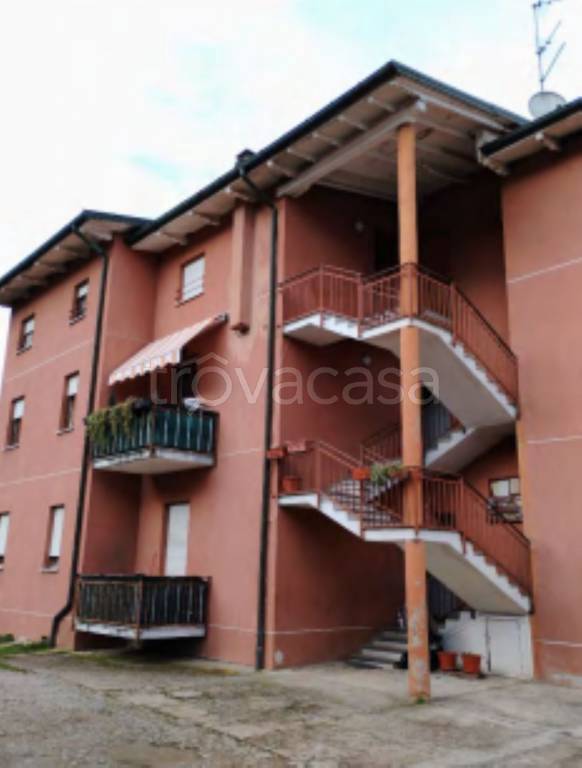 immagine annuncio 4 di 14