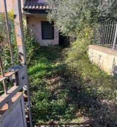 immagine annuncio 1 di 6