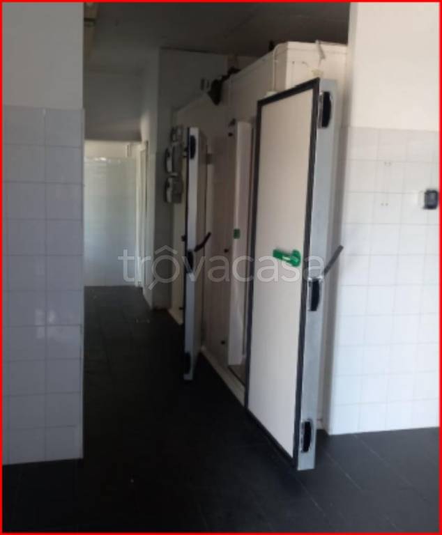 immagine annuncio 6 di 13