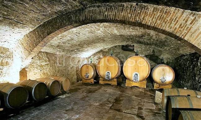 immagine annuncio 8 di 12