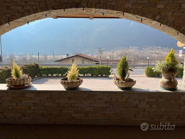 immagine annuncio 5 di 15