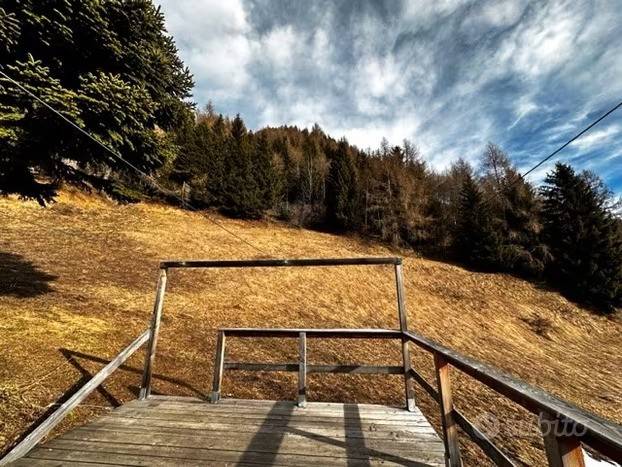 immagine annuncio 7 di 14