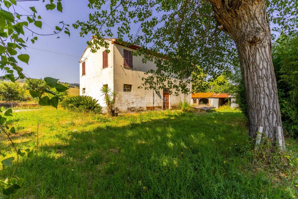 immagine annuncio 7 di 11