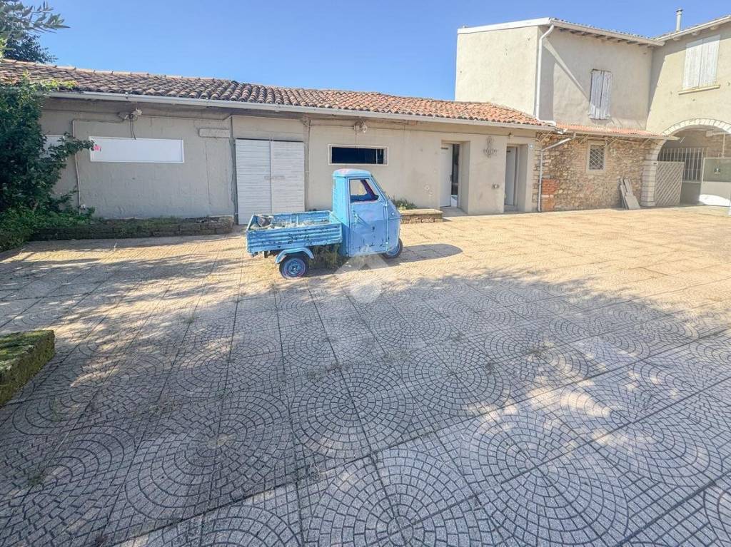 immagine annuncio 5 di 15