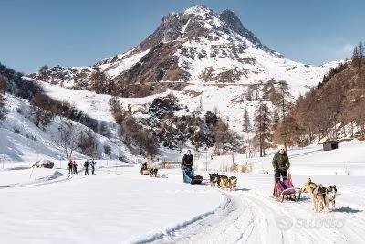 immagine annuncio 12 di 14