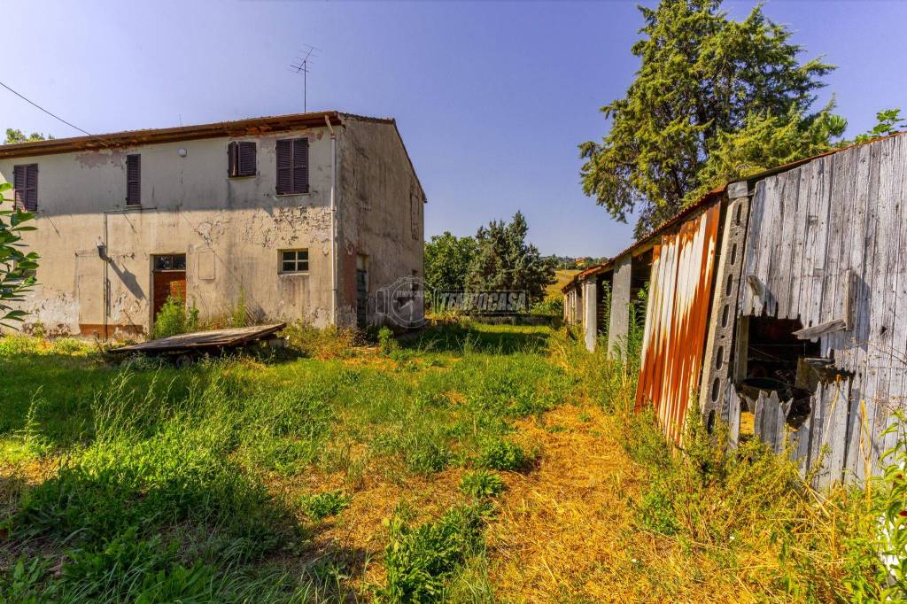 immagine annuncio 8 di 11