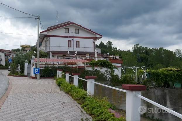 immagine annuncio 9 di 12