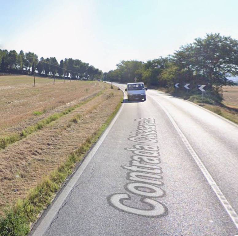 immagine annuncio 1 di 12