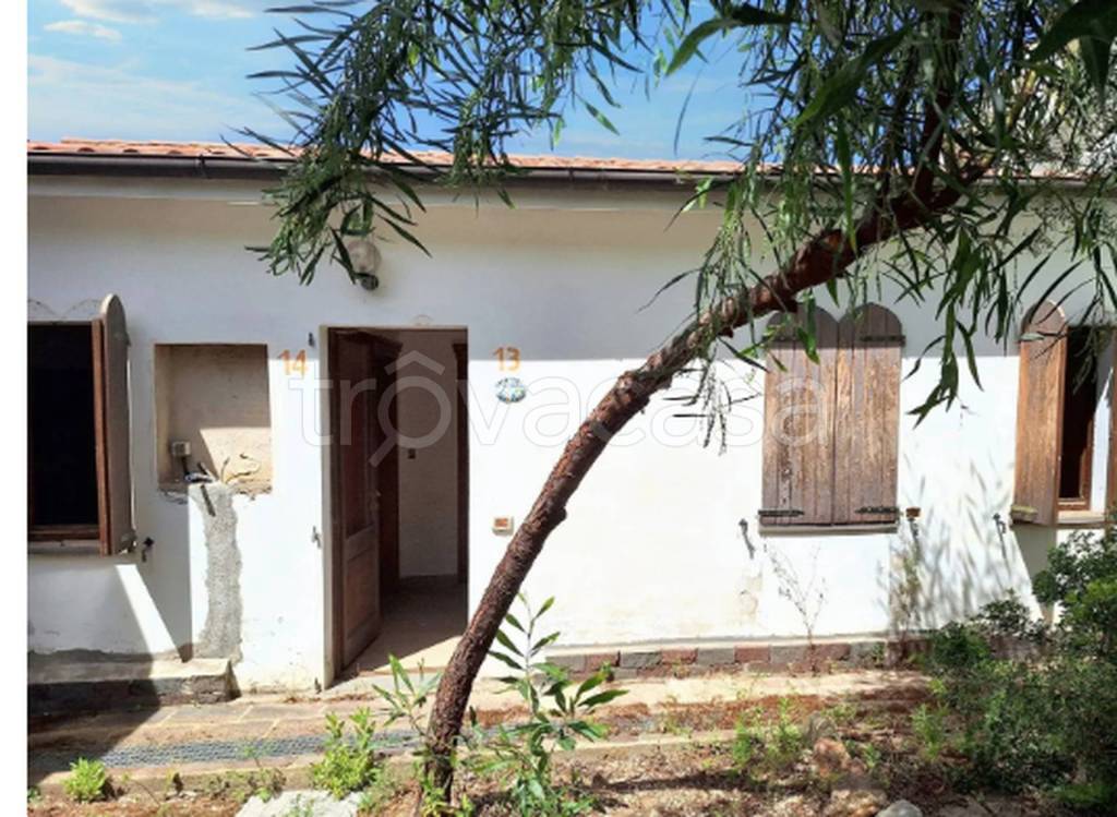 immagine annuncio 10 di 13