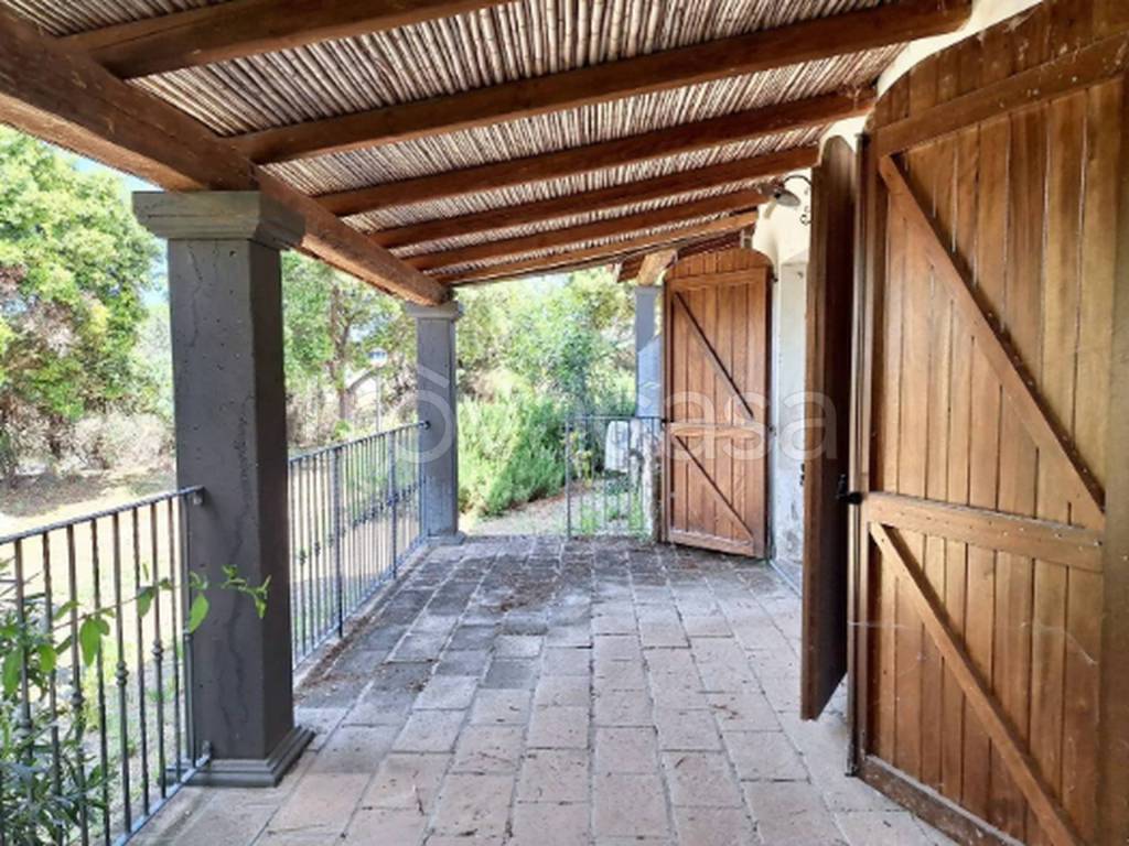 immagine annuncio 11 di 13