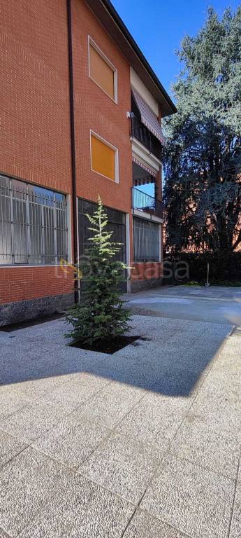 immagine annuncio 6 di 12