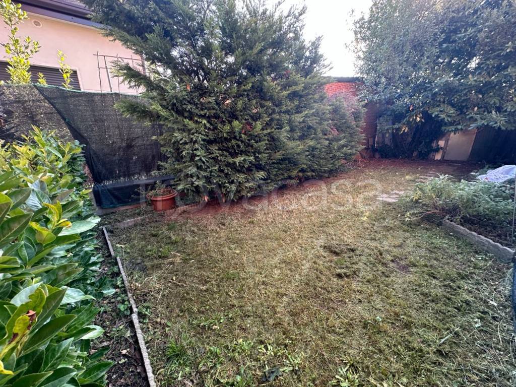 immagine annuncio 1 di 14