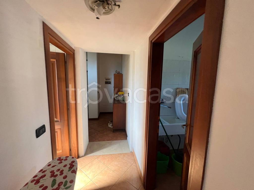 immagine annuncio 4 di 12