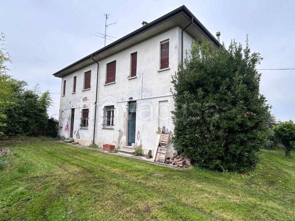 immagine annuncio 12 di 14