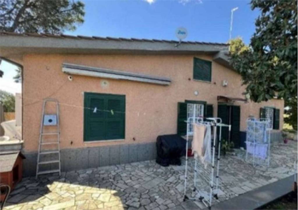 immagine annuncio 1 di 10