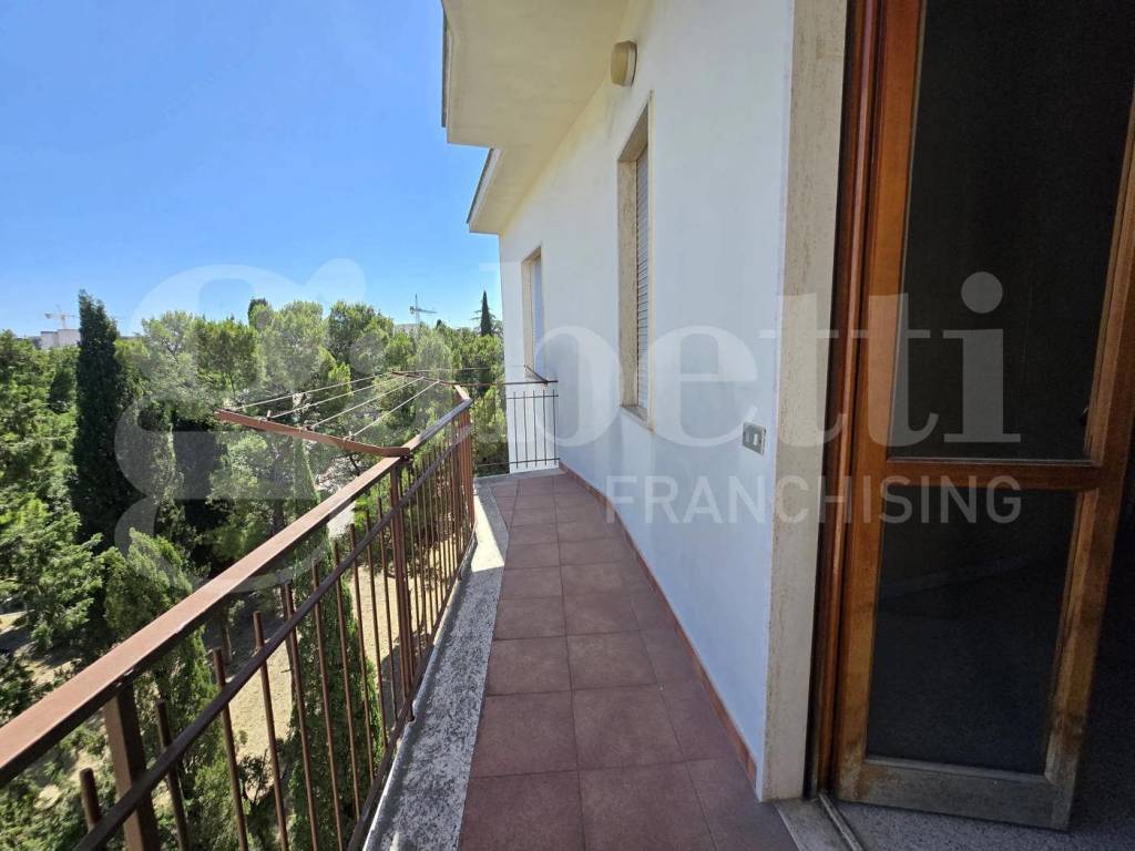 immagine annuncio 6 di 12