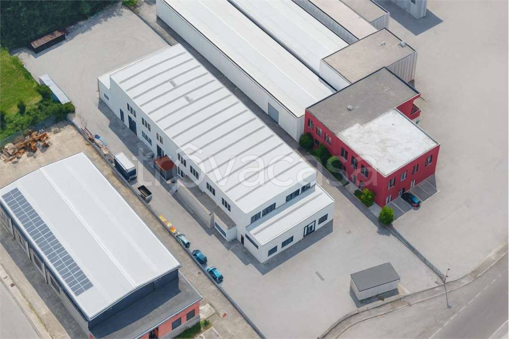 immagine annuncio 1 di 12