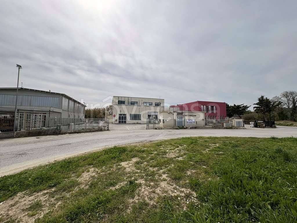 immagine annuncio 5 di 12