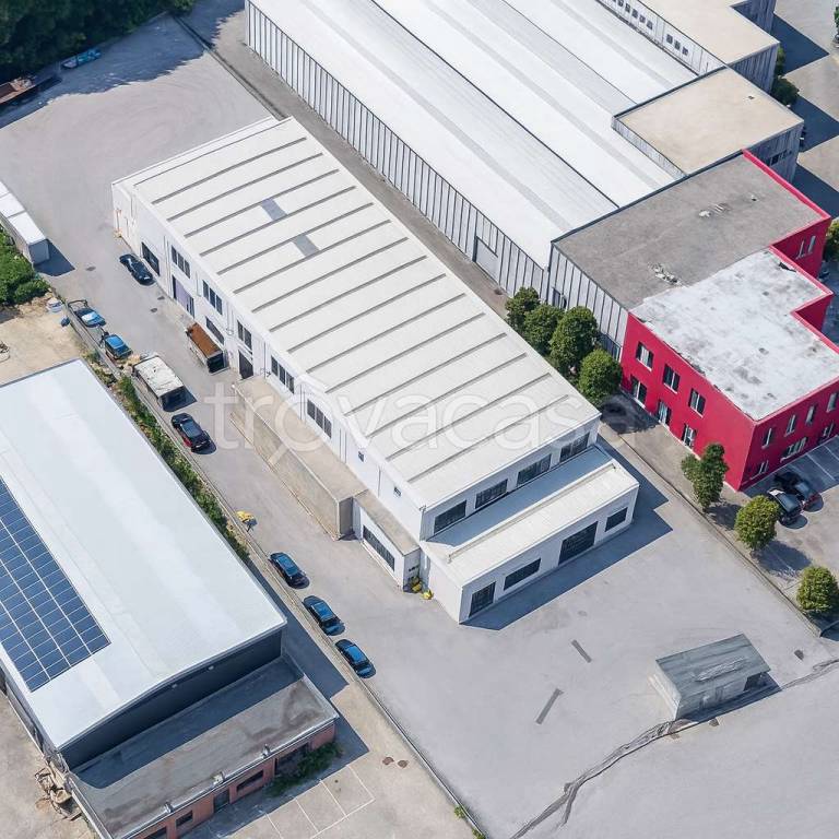 immagine annuncio 8 di 12