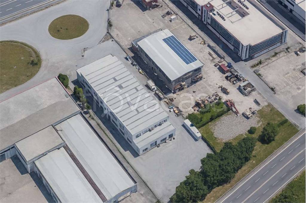 immagine annuncio 9 di 12