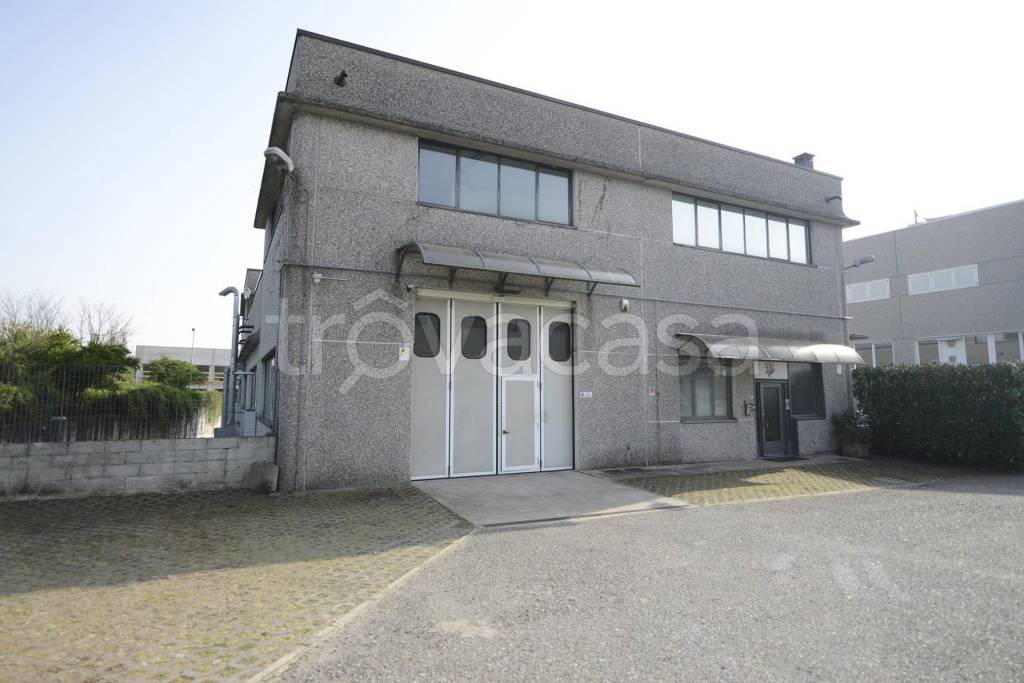 immagine annuncio 9 di 15