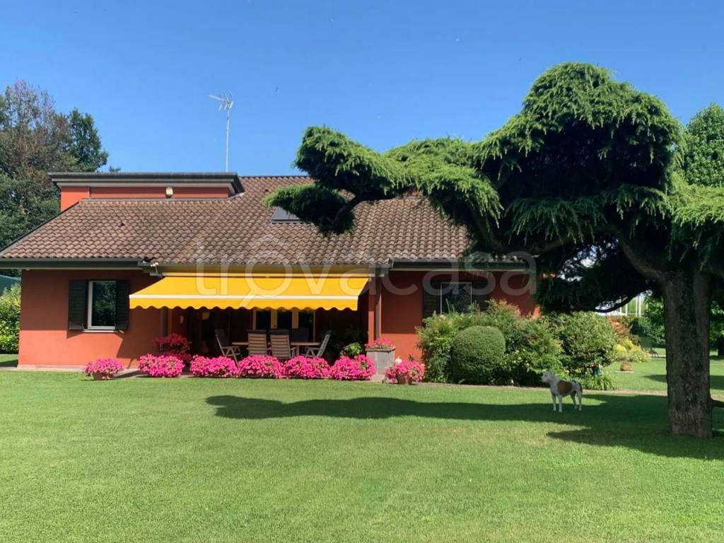 immagine annuncio 1 di 10