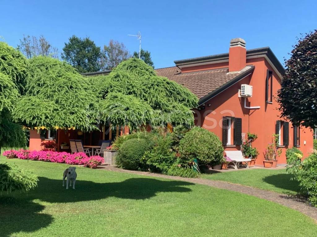 immagine annuncio 3 di 10