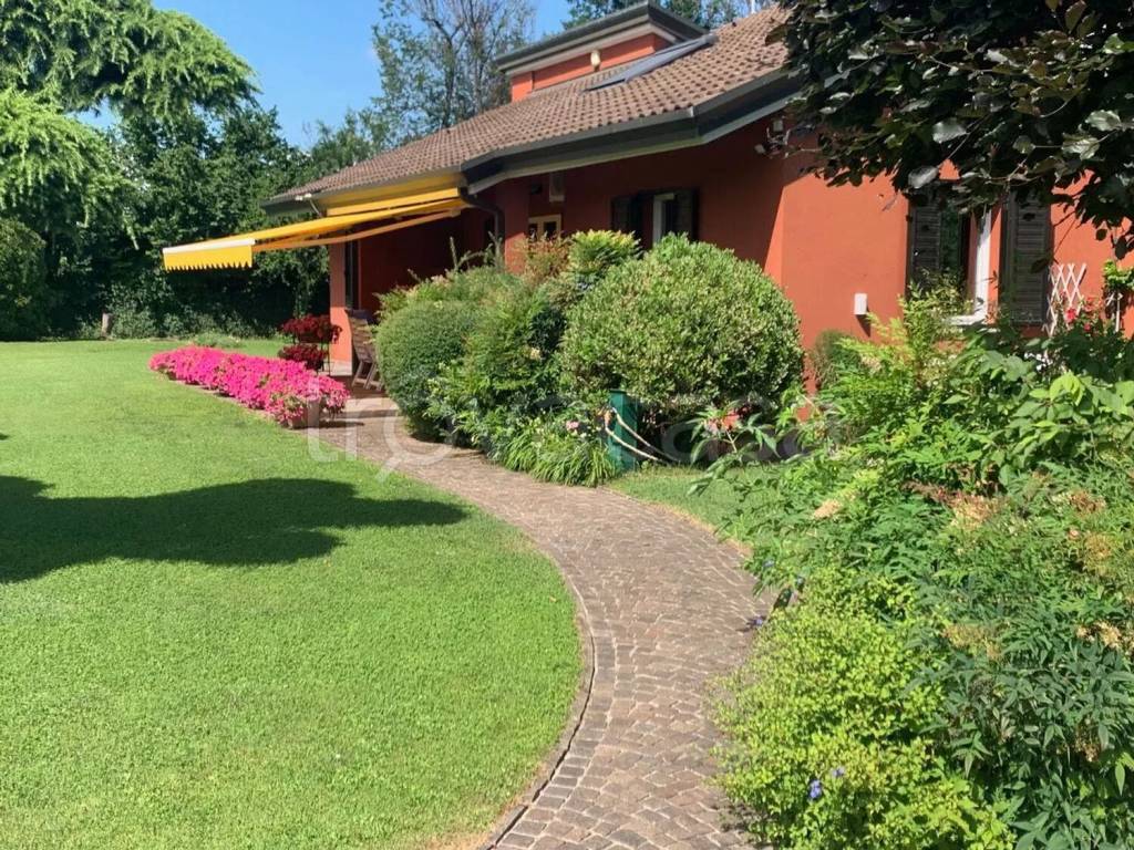 immagine annuncio 6 di 10