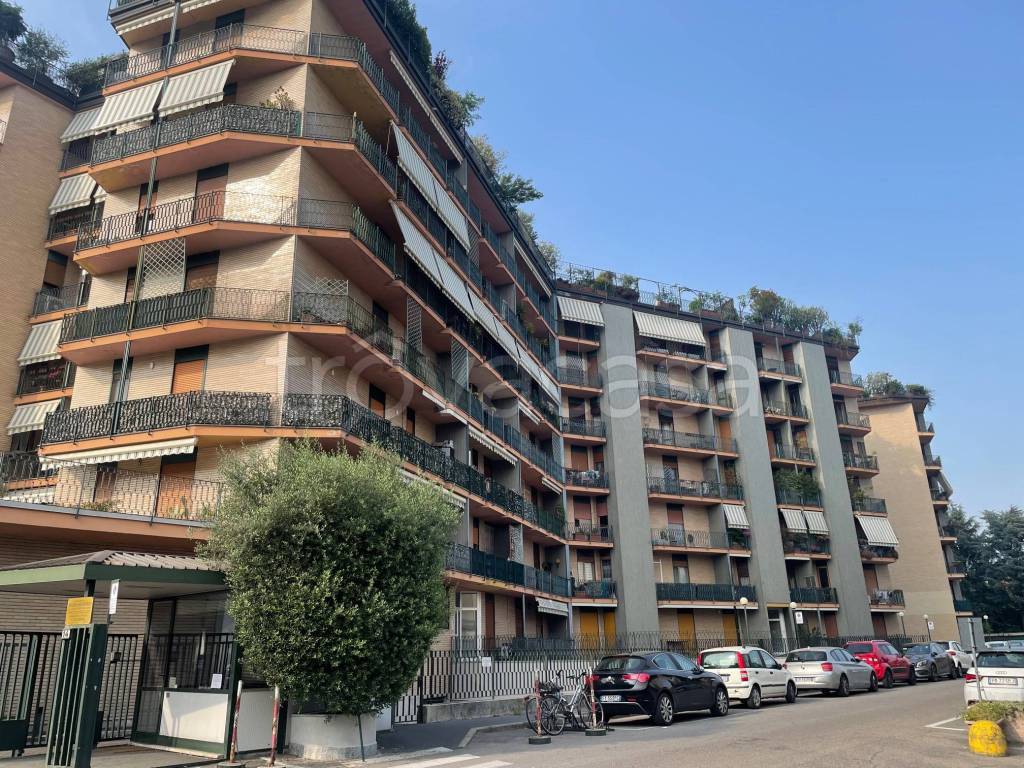 immagine annuncio 1 di 9