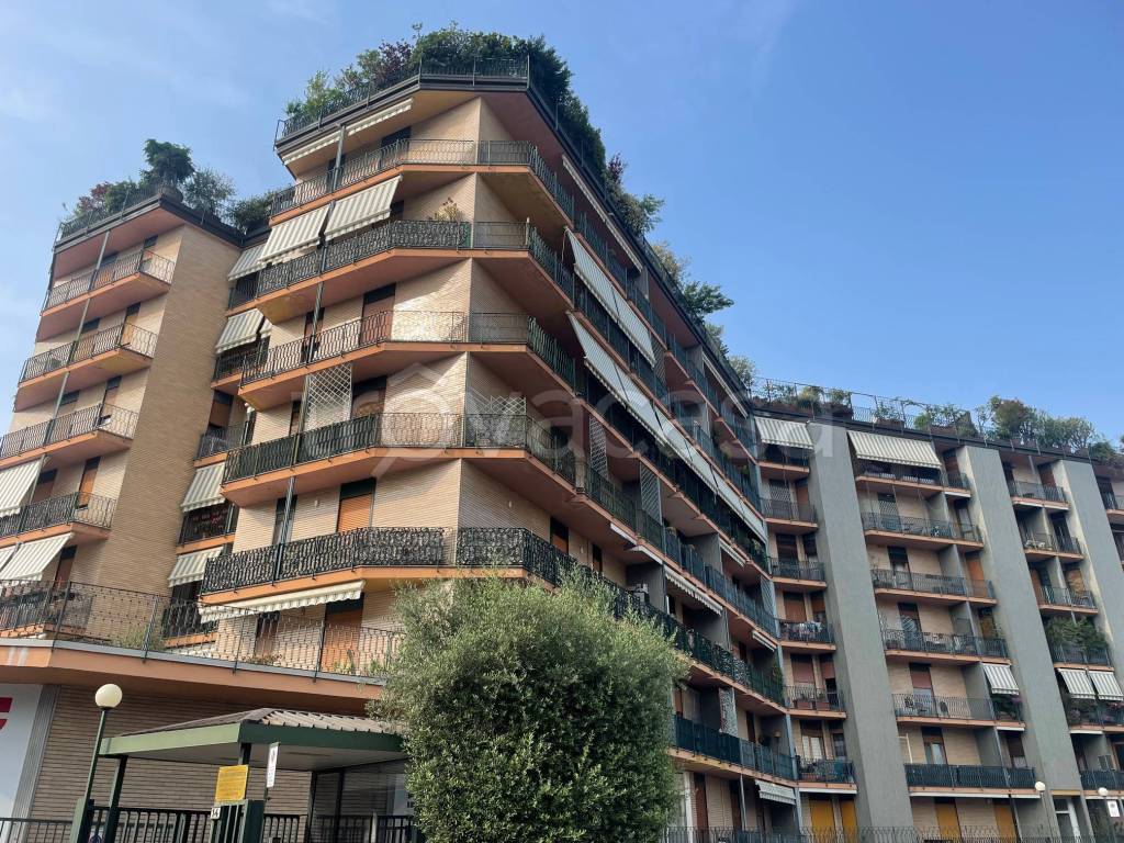 immagine annuncio 3 di 9