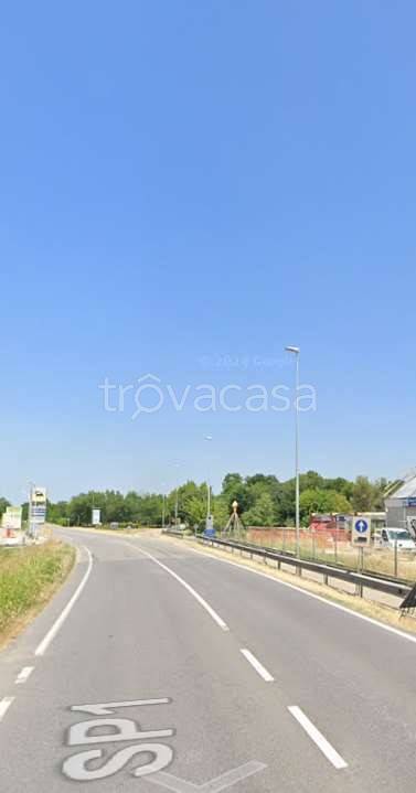 immagine annuncio 5 di 11