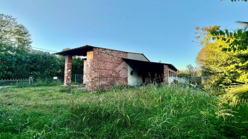 immagine annuncio 7 di 12