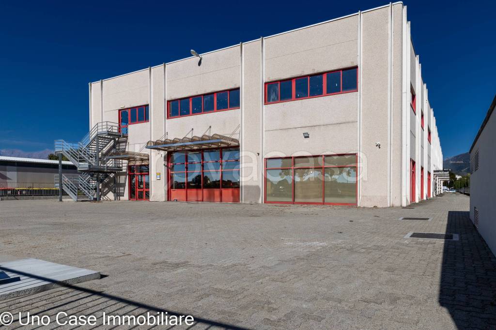 immagine annuncio 1 di 12