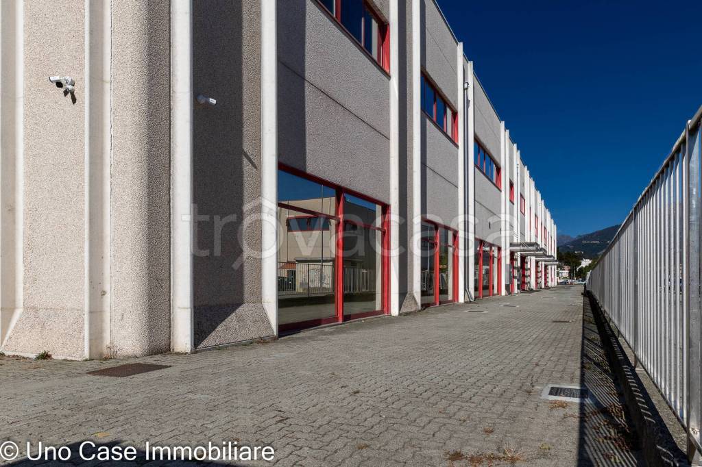 immagine annuncio 2 di 12