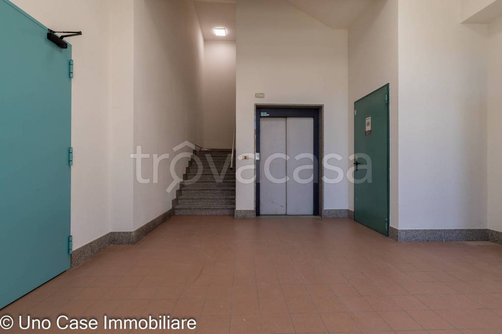 immagine annuncio 4 di 12