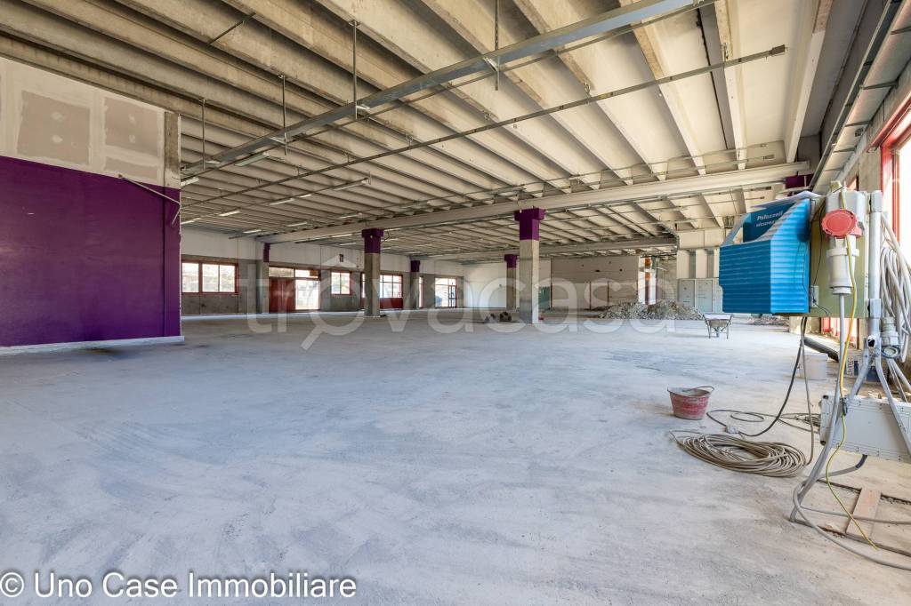 immagine annuncio 5 di 12