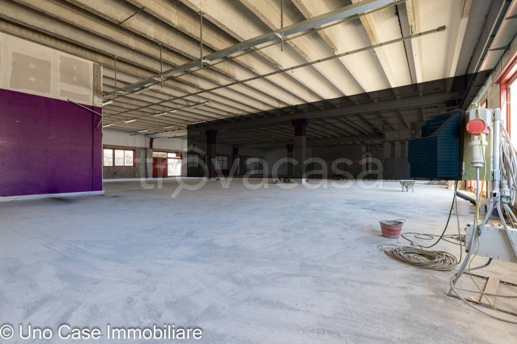 immagine annuncio 6 di 12