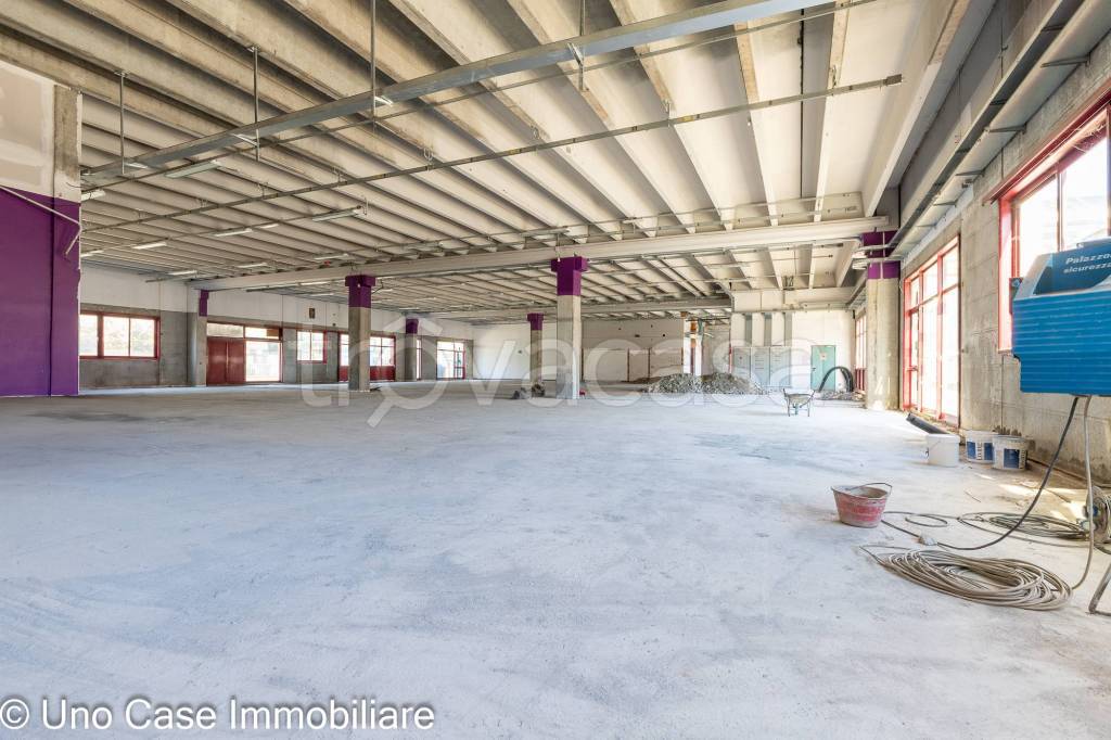 immagine annuncio 7 di 12