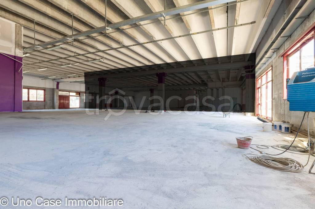 immagine annuncio 8 di 12