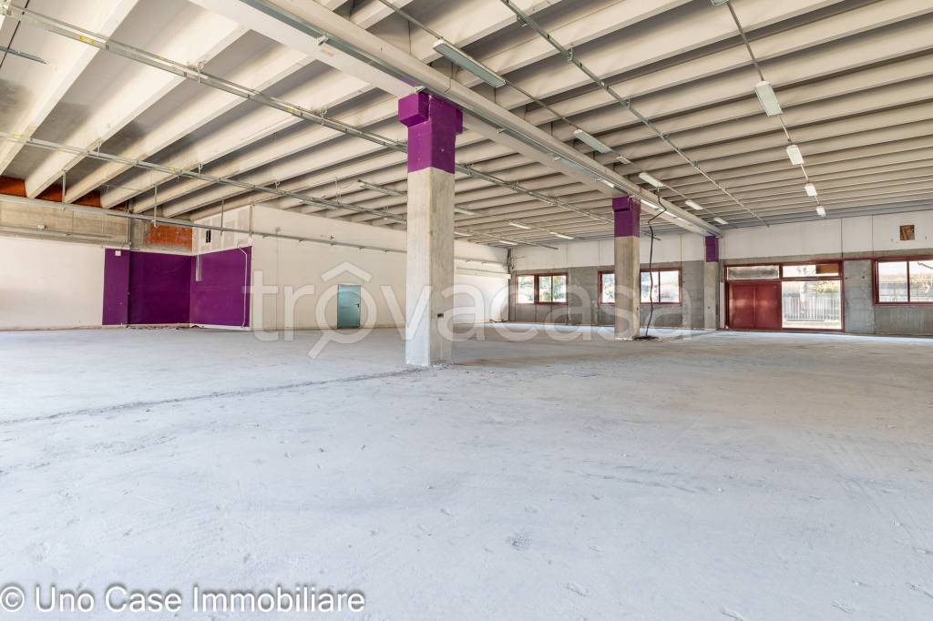 immagine annuncio 9 di 12