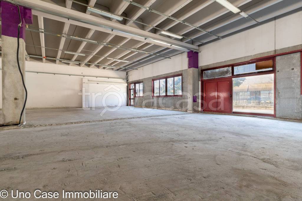 immagine annuncio 10 di 12