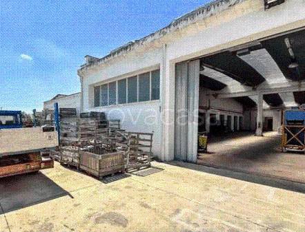 immagine annuncio 4 di 13