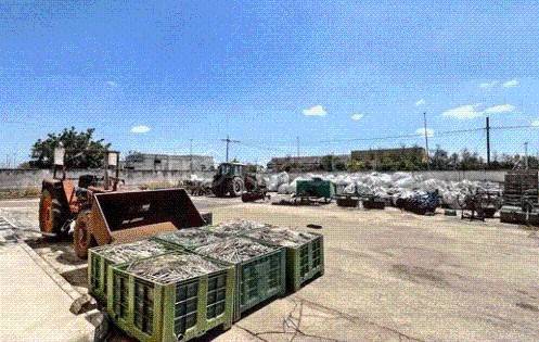 immagine annuncio 6 di 13