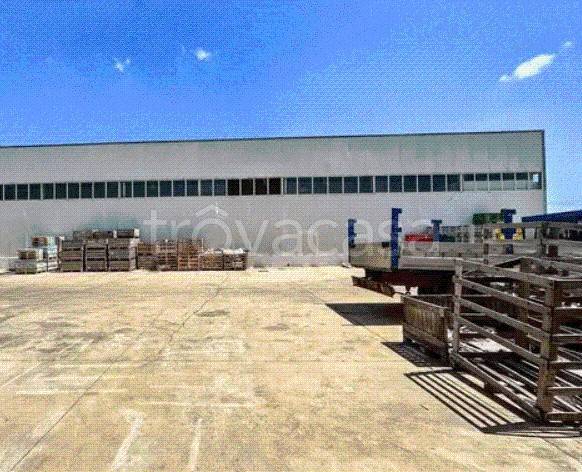 immagine annuncio 8 di 13