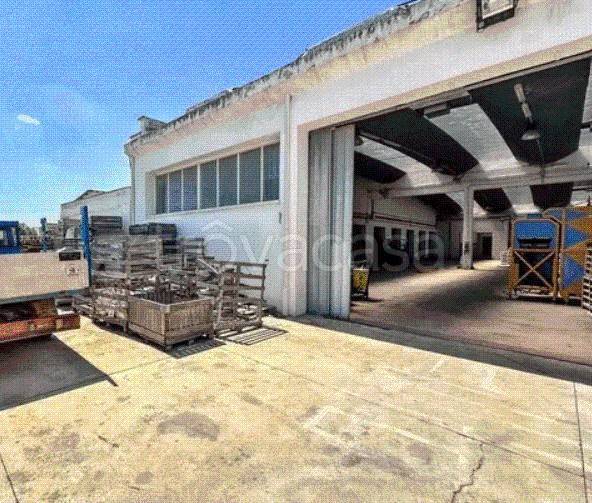 immagine annuncio 9 di 13